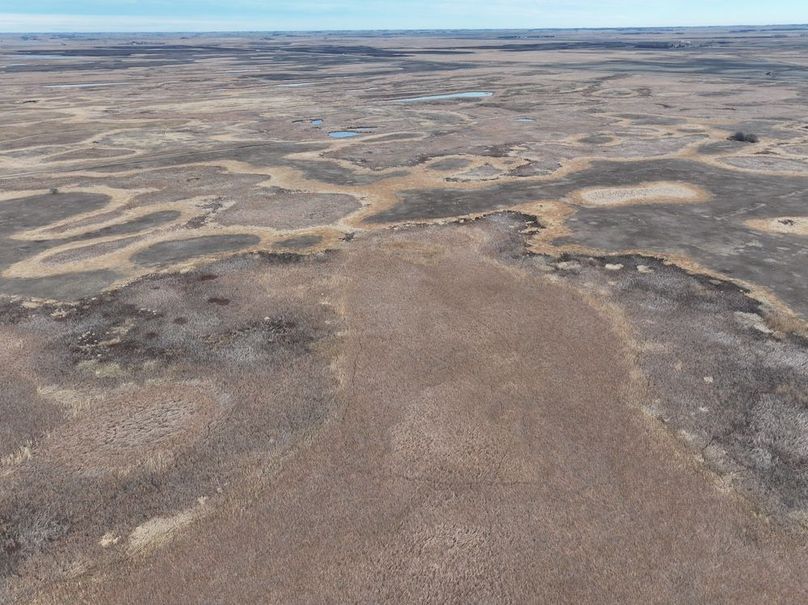 DJI_20241118113158_0321_D