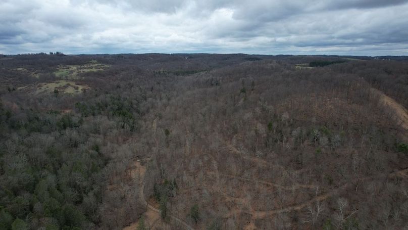 dji_fly_20260323_135734_193_1774365627727_photo