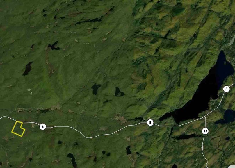 Hamilton County NY 189.72 Flower Wide Map