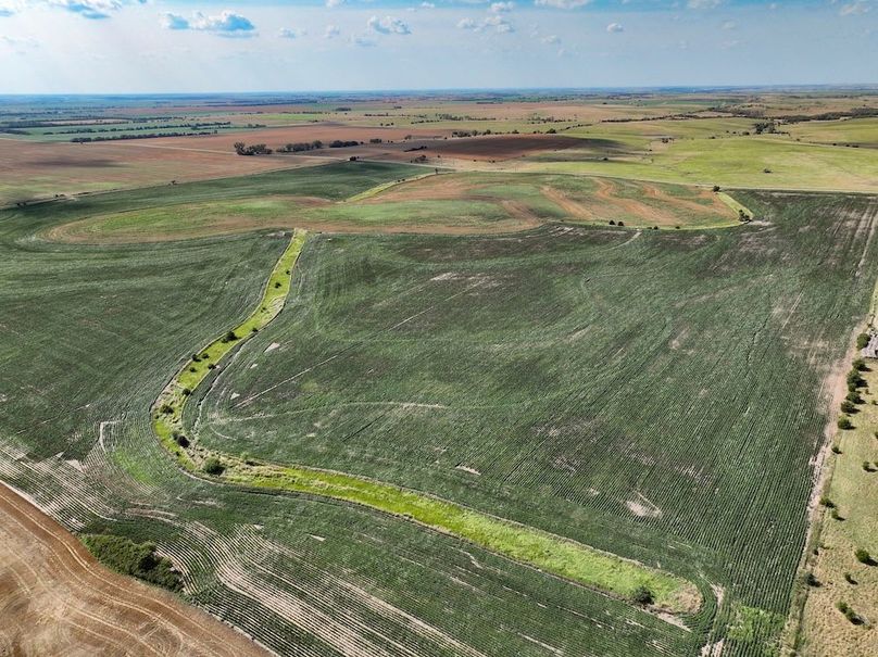 Mitchell Ks, 155.55_006