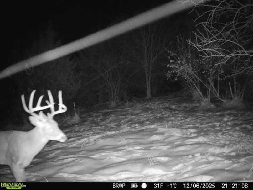 860322065924133-100-4-12062025212108-W1001583