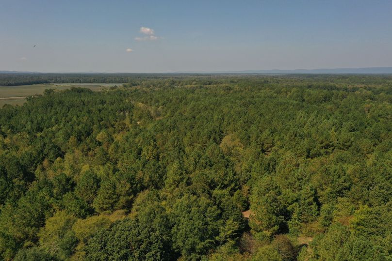 DJI_0877