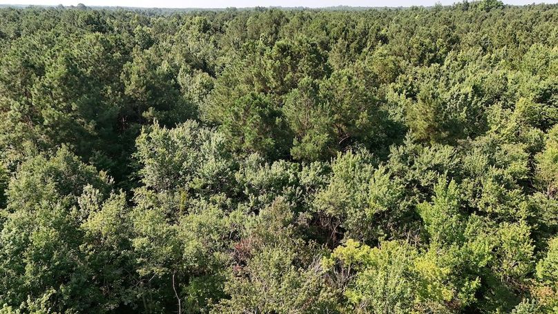 DJI_20250627095228_0104_D