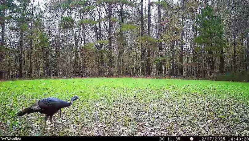 Claiborne Co - 274 - Marian-029