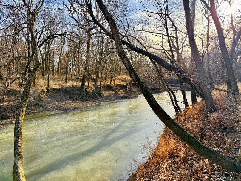 Copy of IMG_7176 Large