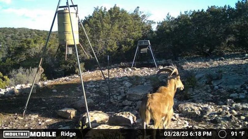 Temp_2035627-20250328232026-100MFCAM_MFDC9081