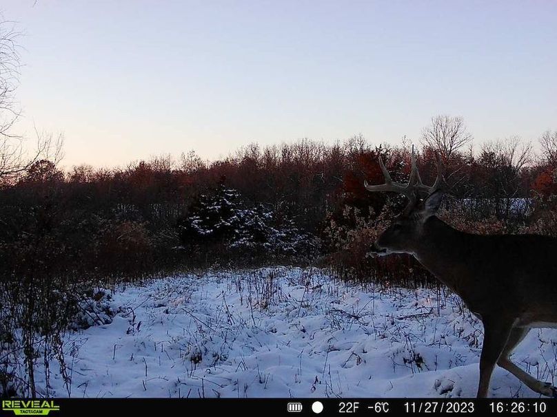 860322065128164-60-3-11272023162610-V-W1006033