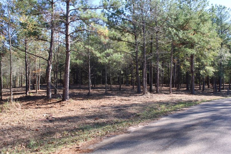 54A6EDB2-C22D-49CA-BB89-740A93E2AD84_1_105_c