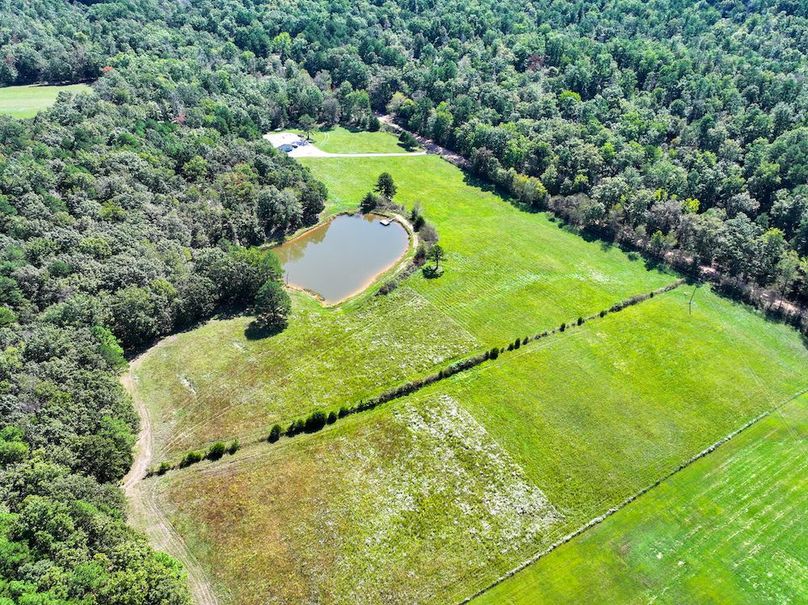 DJI_20240925113234_0227_D