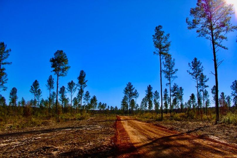 8523B4B9-86D3-4A3C-95E8-253D528FE47E_1_201_a