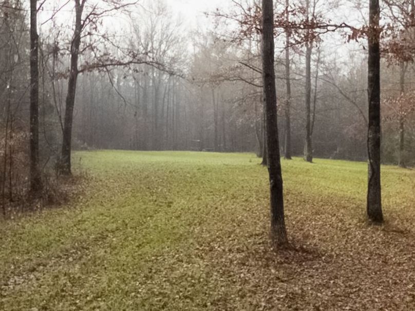 Claiborne Co - 274 - Marian-016