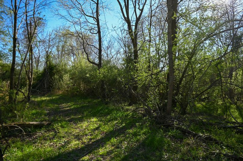 vandalia 450 (2)-2478