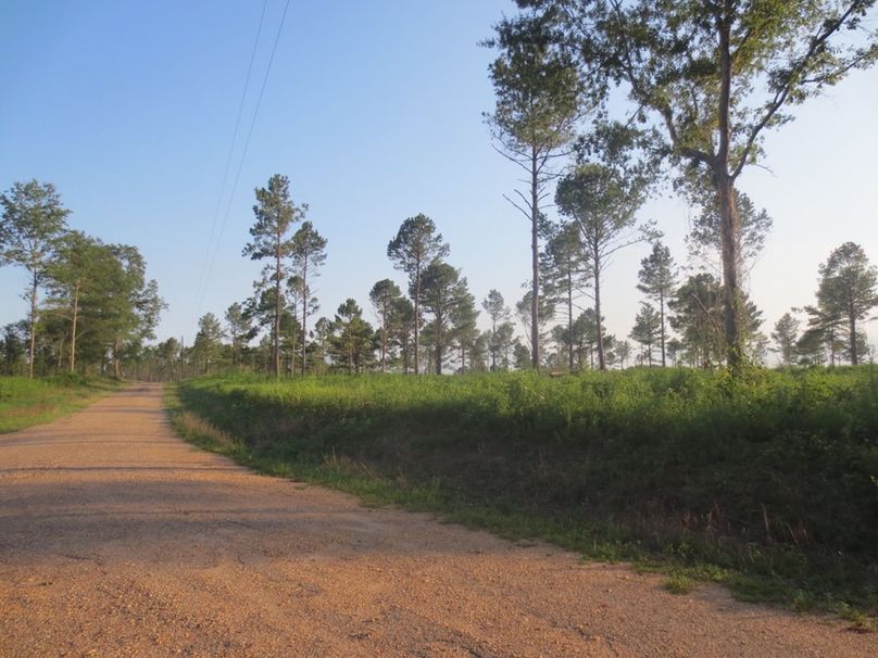 99B3F4B9-0BE8-4497-B202-E226F6920DD3_1_105_c