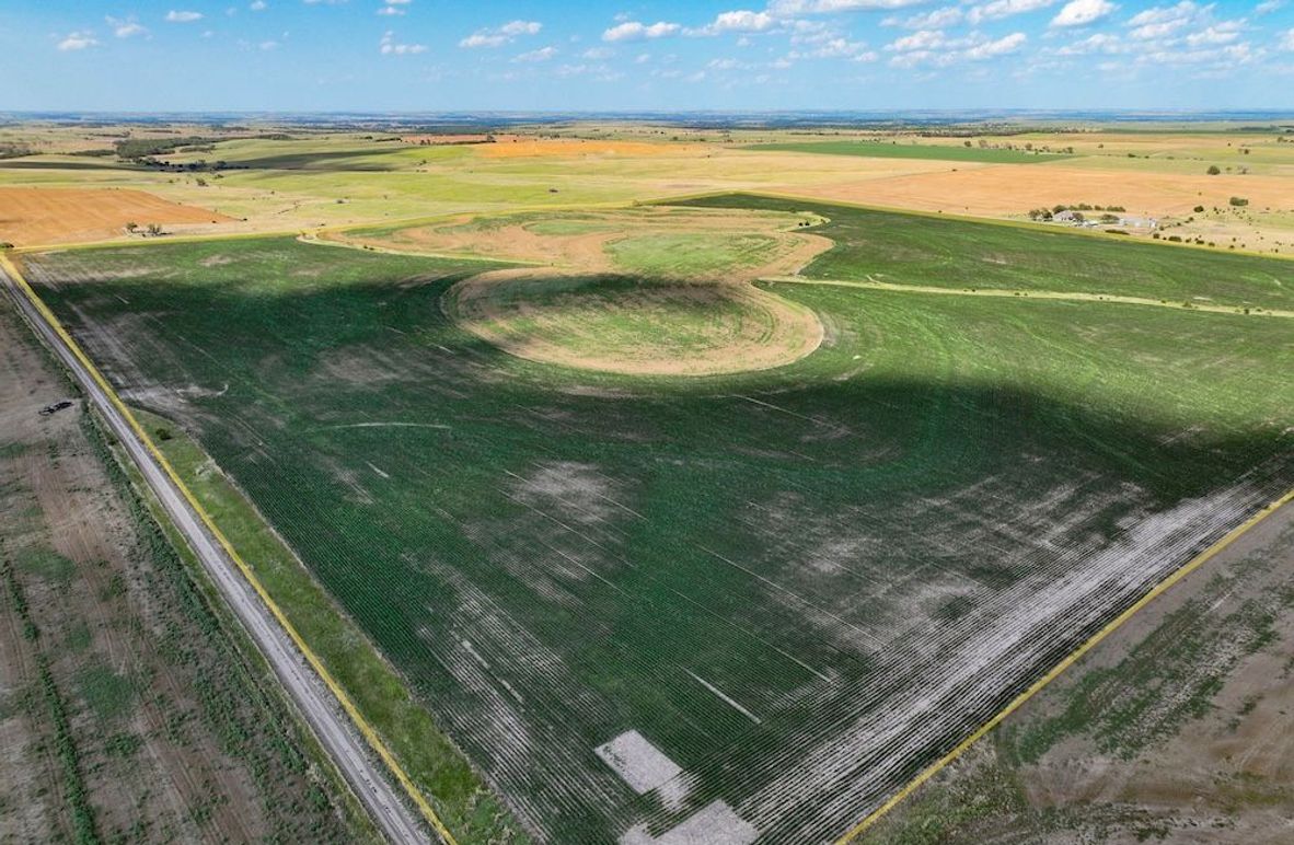 Mitchell Ks, 155.55_003