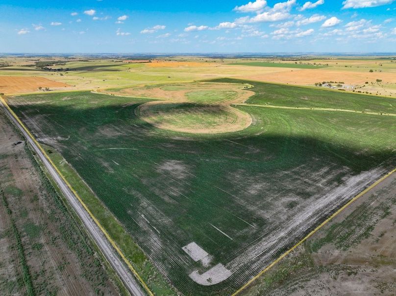 Mitchell Ks, 155.55_003