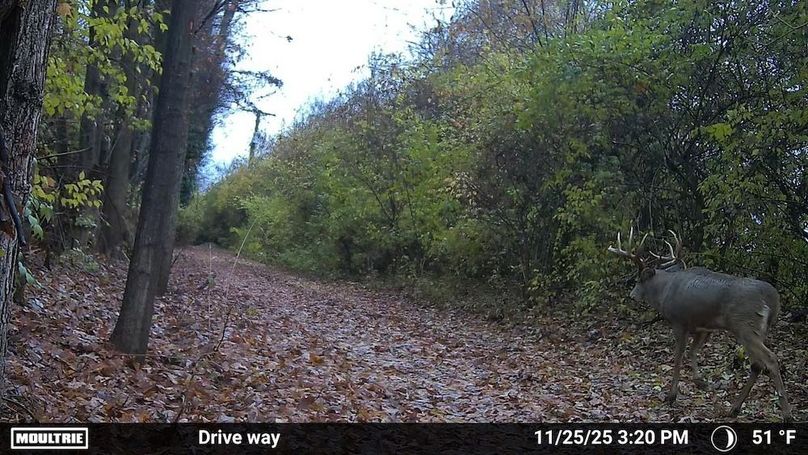 Temp_1541359-20251125202131-100MFCAM_MFDC1861