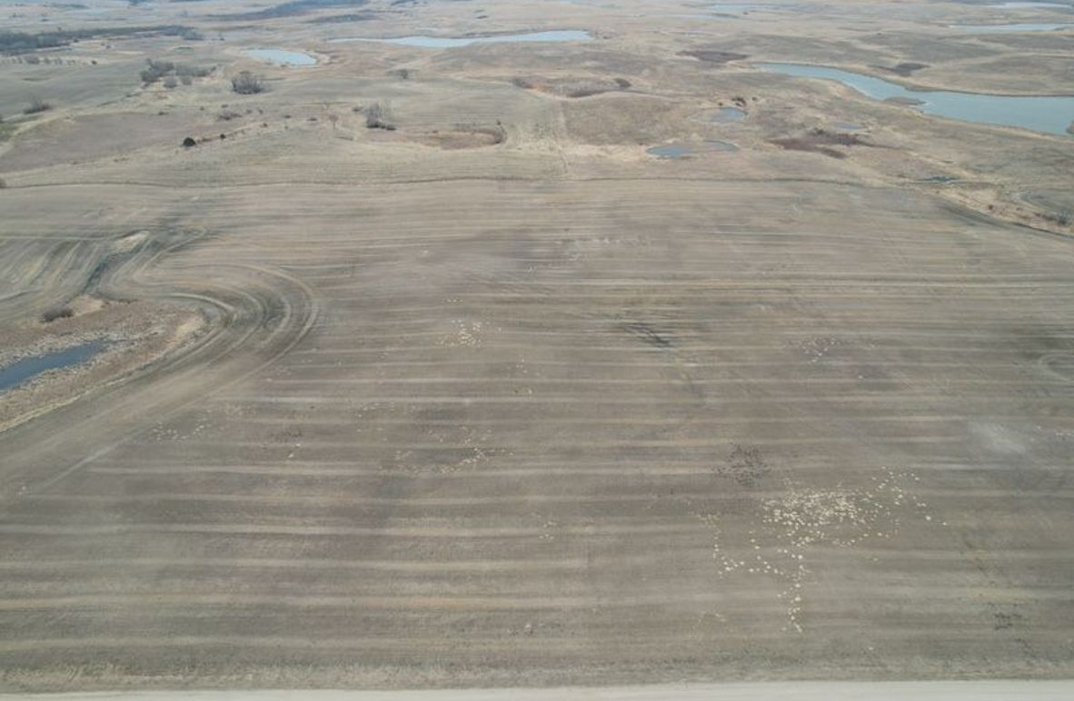 dji_fly_20250417_114624_770_1744908606392_photo