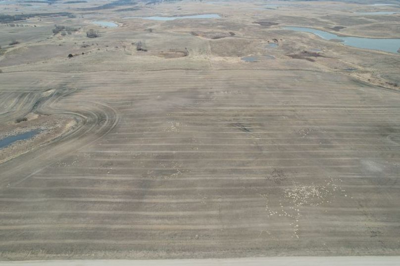 dji_fly_20250417_114624_770_1744908606392_photo