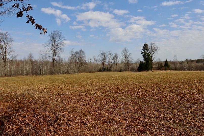 Copy of Copy of IMG_0547