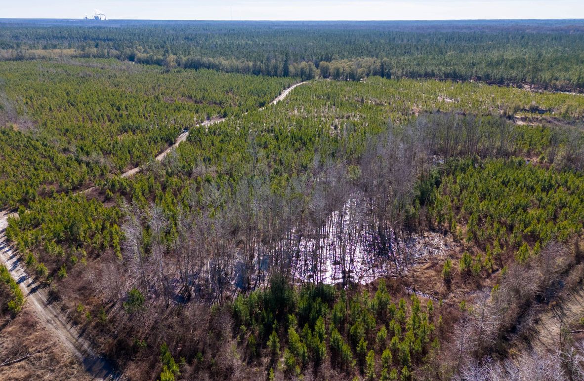 Pender NC 382 - Edits-4