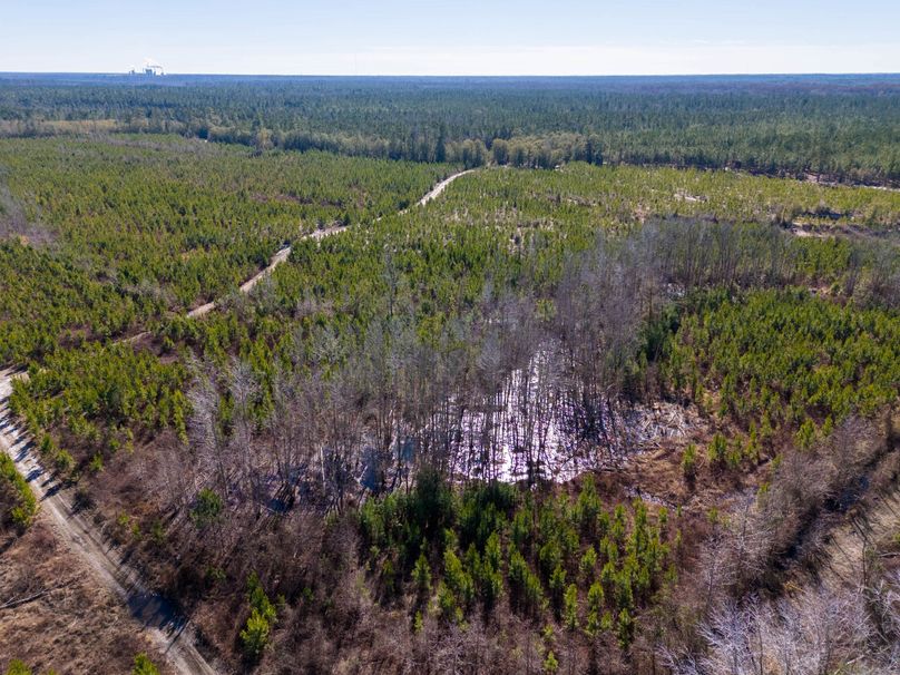 Pender NC 382 - Edits-4