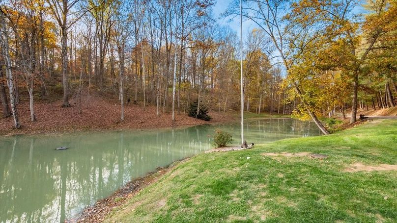 69-z 46585 Morning Star121-2