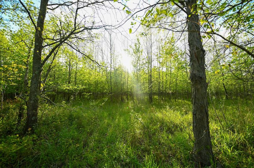 vandalia 450 (2)-2999