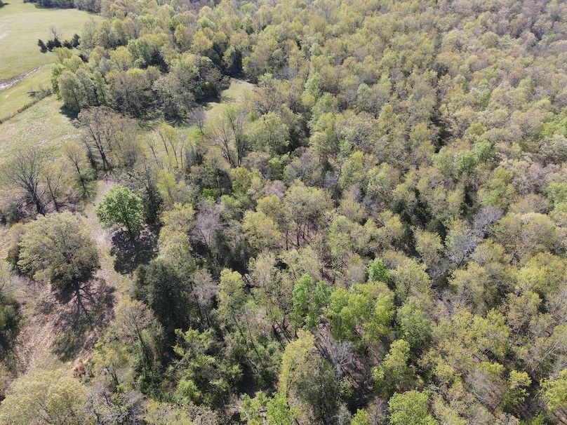 DJI_0320