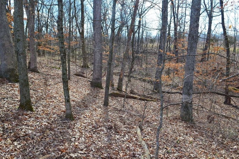 DSC_0305_inPixio (2)