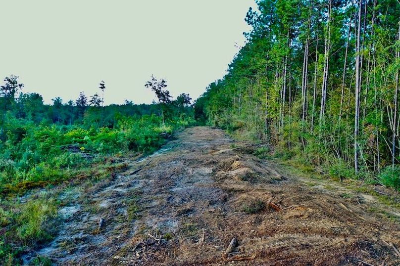 4EA43EBC-AA9A-4ECD-B168-579D5F477174_1_105_c