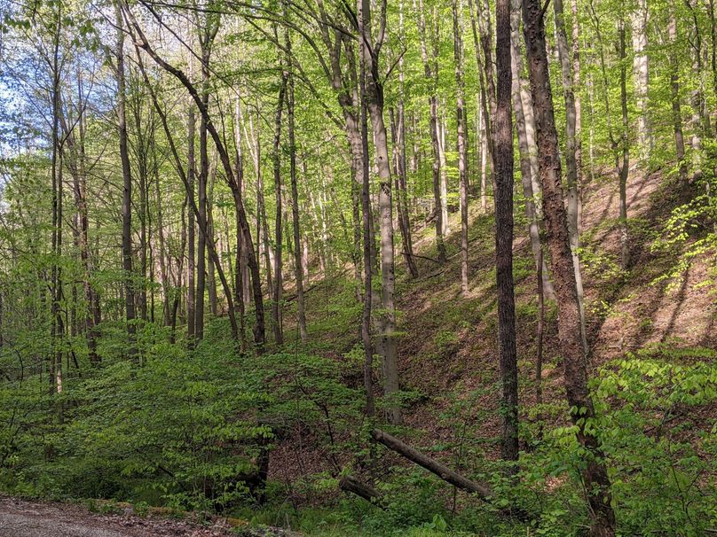 PXL_20230504_222533927