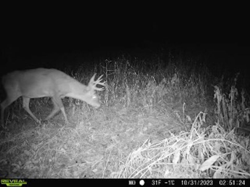 e0aa421b-b504-42a5-95e4-82bafe96a6cc