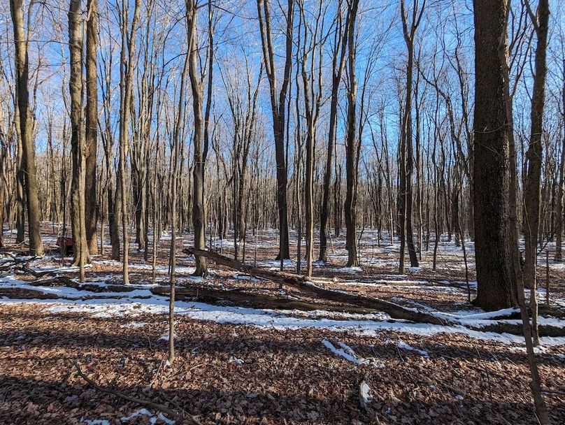 PXL_20240229_211934245