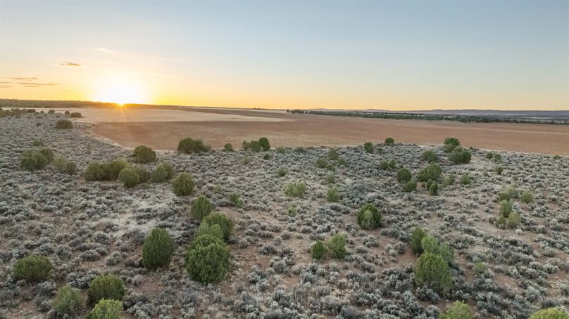 DJI_0347_1