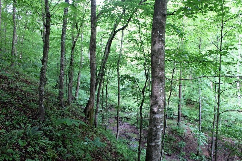 012 north slope along valley floor of main valley