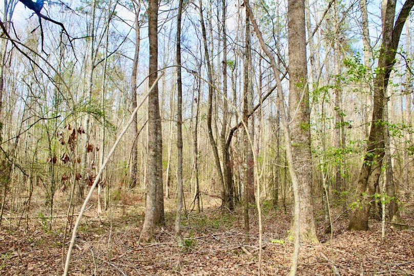 8EDB5A6F-9137-43AE-B27A-7DAE7CE2BED9_1_201_a