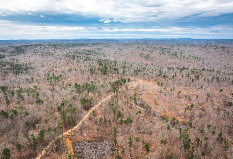 DJI_20250403121213_0583_D