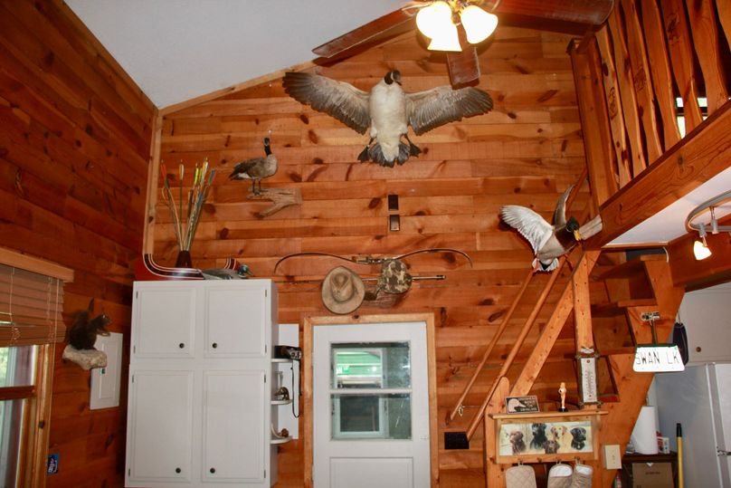 pic 19