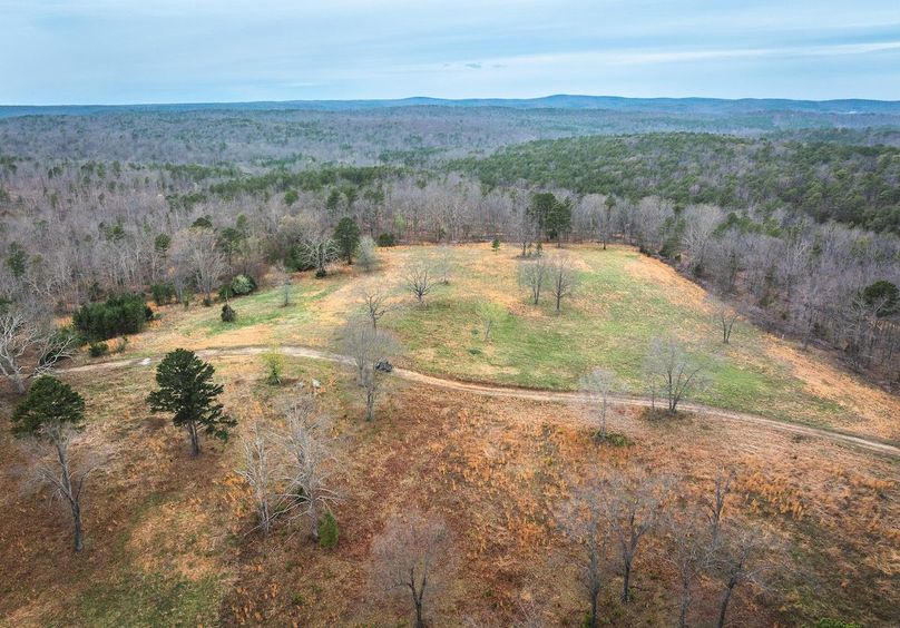 DJI_20250403123811_0596_D