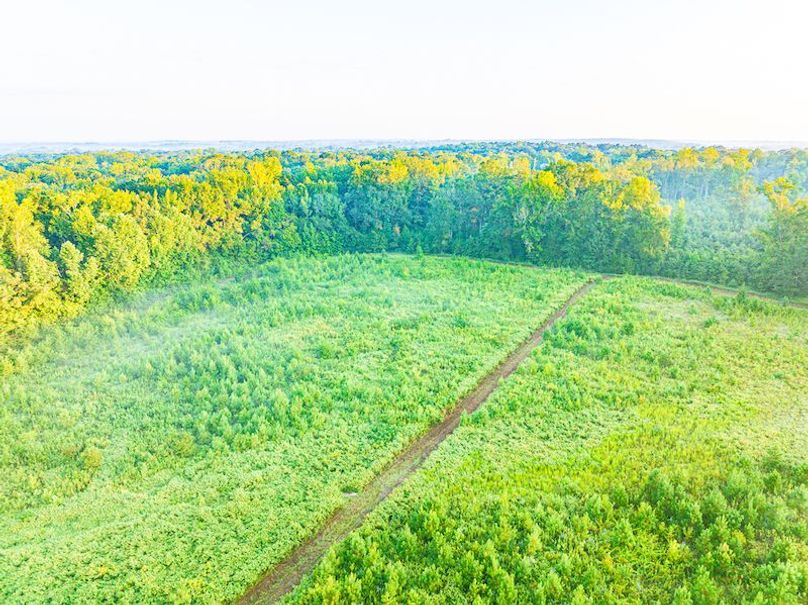 Itawamba 400 Moore-07