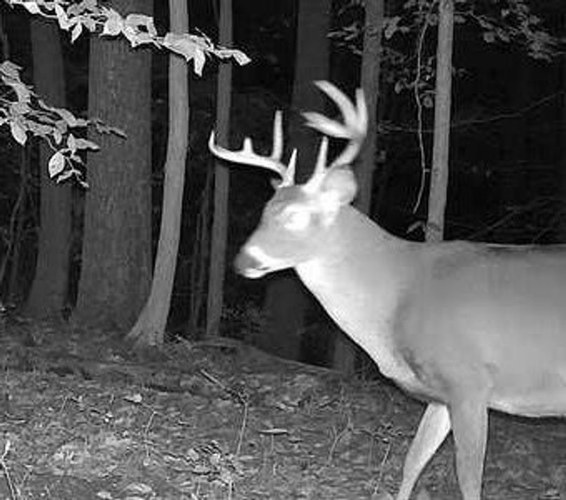 08341E2D-9792-459A-AF45-EA410B417697_4_5005_c