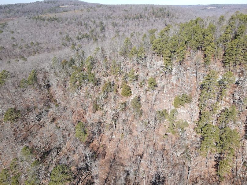 DJI_0055