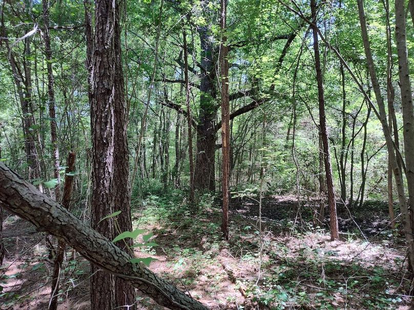 IMG_20250524_121453567_HDR