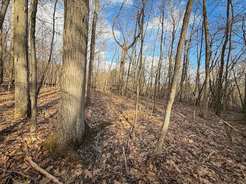 Chemung_59.65_Kocsis_photos_36