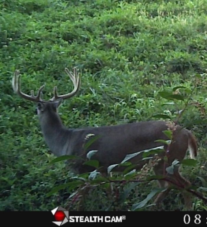 03 thats a wide one!