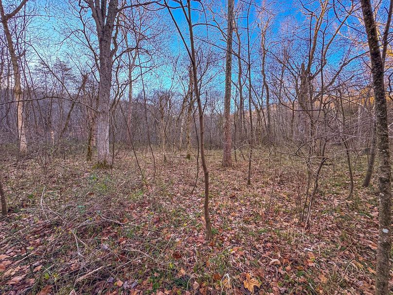 Pleasants_Wood 169.97 AC Cokeley-25