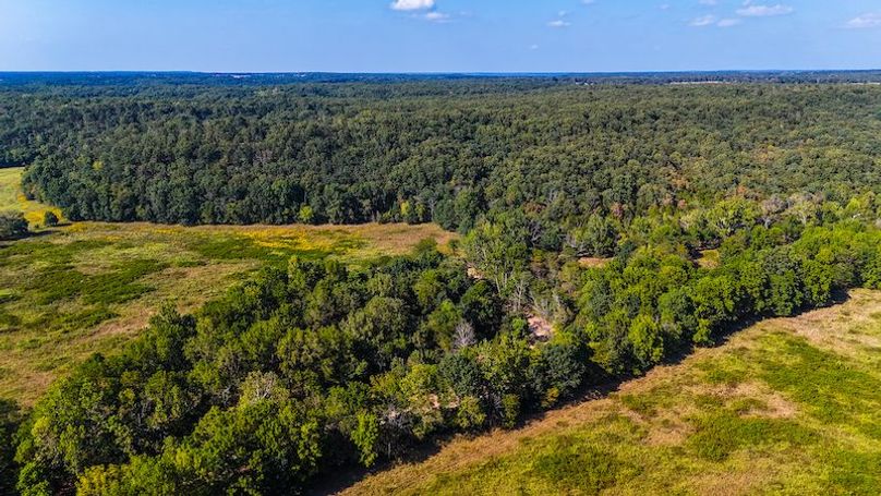 DJI_20250905042709_0077_D