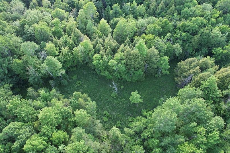 Jefferson_260.3_ Lobach_Photos_59