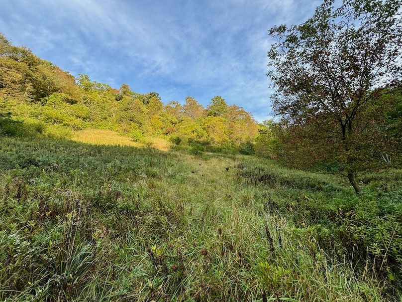 Richland 199Ground - 57