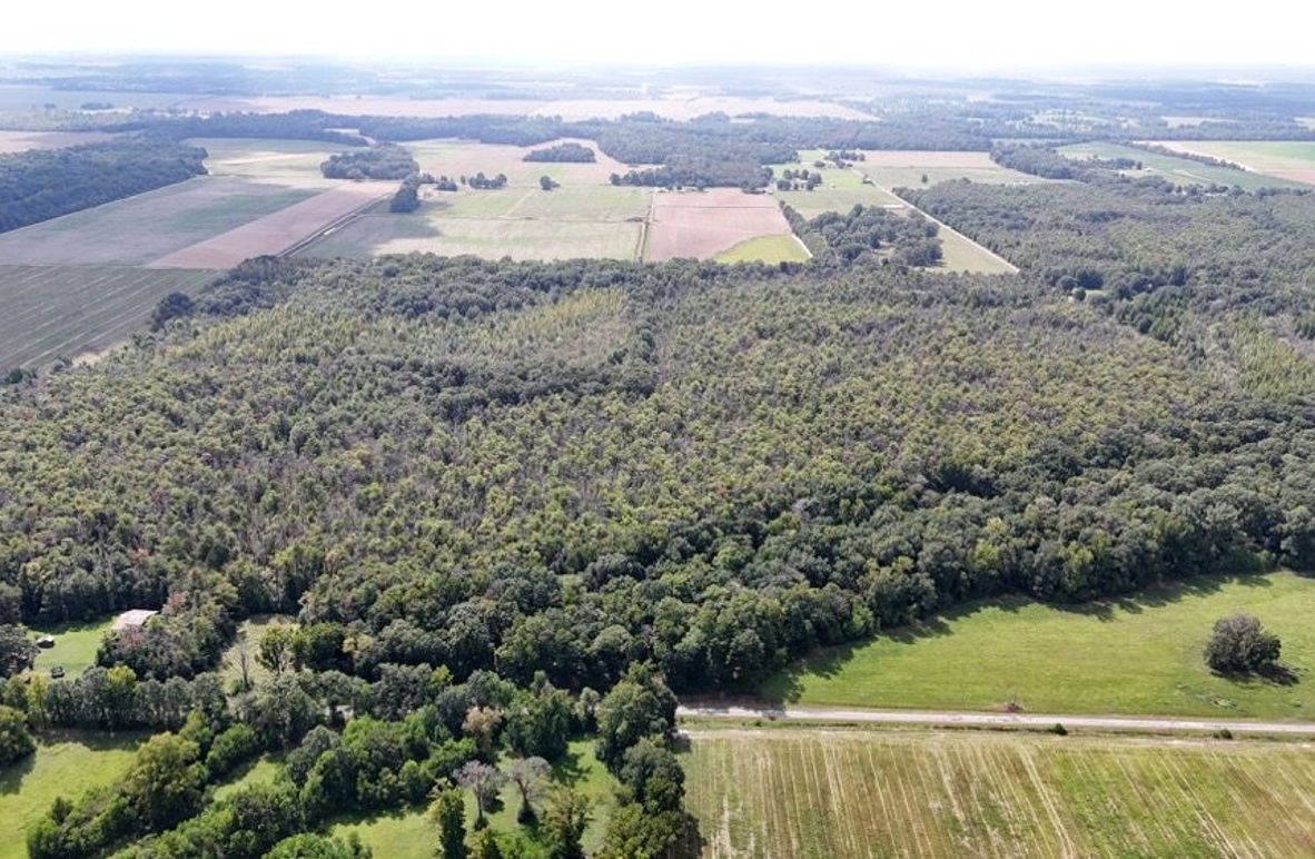 DJI_20250923004606_0736_D